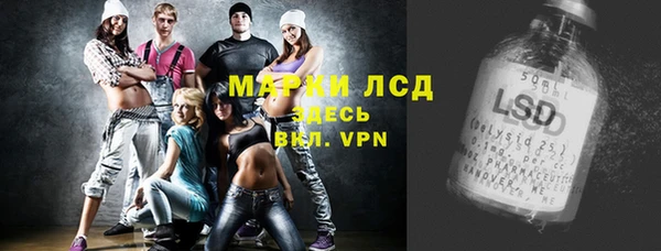 ПСИЛОЦИБИНОВЫЕ ГРИБЫ Новодвинск