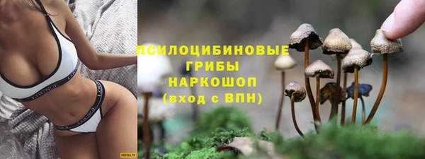 мескалин Новозыбков