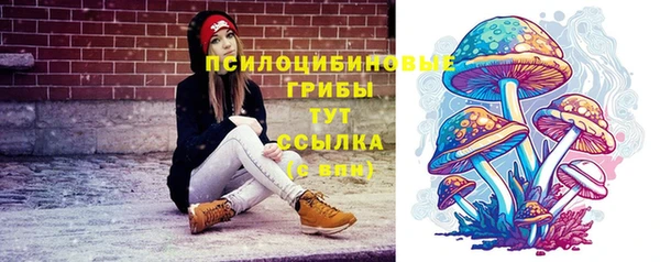 мескалин Новозыбков