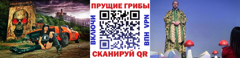 Галлюциногенные грибы MAGIC MUSHROOMS  наркошоп  Черногорск 