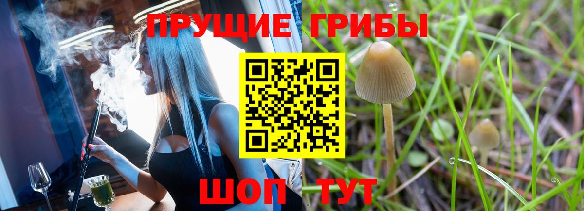 Галлюциногенные грибы Psilocybine cubensis  Вход с VPN  Черногорск 