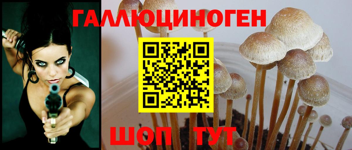 Галлюциногенные грибы Magic Shrooms Черногорск