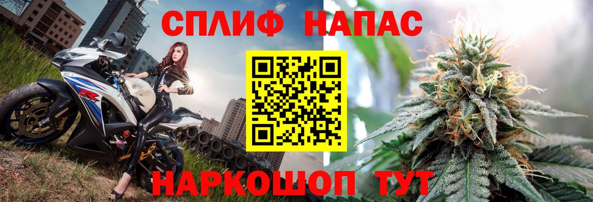 Конопля сатива Черногорск
